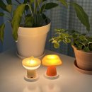 참참부자 | 두번째 혼여행 (나 혼여행이 잘 맞는 것 같기도?)