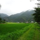 녹색마을길 이미지