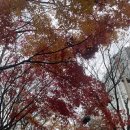 공때리네 당구장 이미지