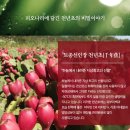 피오나화장품 이미지