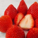 아리향 | 농촌진흥청이 만든 명품, 아리향 딸기 당도와 식감 후기