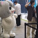 2025 플레이X4 참관 후기 잡담