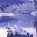 하얀 겨울 눈 풍경 이미지