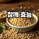 참깨 효능 | 참깨란 : 칼슘 당뇨 혈당 변비