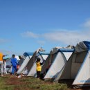 라임동물약품 | 캠핑 필수템! 자연주의 모기기피제 추천과 사용 팁
