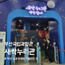 새싹 도서관 | 국립부산과학관 무료관람 꿀팁! 새싹누리관 후기 (아이랑 갈만한 부산 실내 나들이)