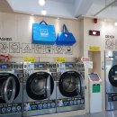 럭키크린업 이미지