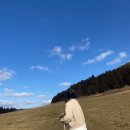 규현목장 이미지