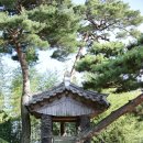 아자방 | 대구 근교 청도 드라이브코스 이쁜 한옥 카페 아자방 방문 후기