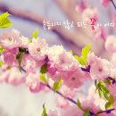 넌나의봄이다 이미지