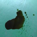 대창전문정비 이미지