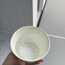 더라인번지앤요가