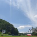 양지파인리조트 이미지