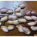 수정농장2 이미지