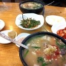 합천돼지국밥 - 창원시 마산회원구 | 합천돼지국밥