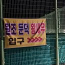 둔덕왕새우