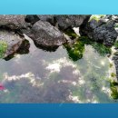 성우 노래연습장 이미지