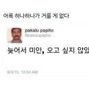 싸다공 - 10365 | 20250708 거여동 덮밥맛집 고탄산/가락시장 대게 포장/ 보드게임 시퀀스/실리콘왁스 이어플러그 추천