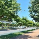 경안로2 이미지