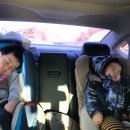 바다수산대게마트 이미지