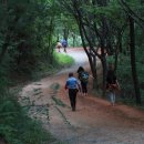 계족산황톳길 이미지