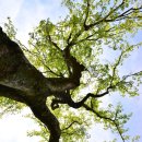 유당공원(주차장) 이미지