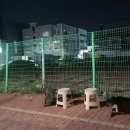현충로 | [대구/남구] 현충로 황금잉어빵 후기 내돈내산