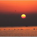 흥남해수욕장 이미지