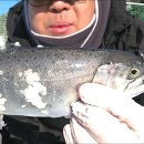 다봉마을 | 겨울에 꼭 가봐야 할 화천 산천어낚시 얼음낚시 리얼 후기 &amp; 공략법