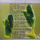천마총각과 명이처녀 이미지