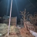 맥스모바일 | 천안 피자 맛집, 도우부터 다른 맥스피자