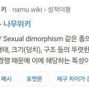 조스맡는다라는표현도 웃김 요도조임근 암수 호르몬 적용이라니까 횡설수설급 거지지역 저새끼 병신 국가에 대가리 이미지
