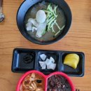 신본토