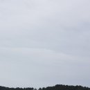 풍어정횟집
