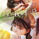 양미미