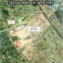 오투모터스 이미지