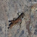 하나로정형외과의원 이미지