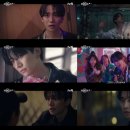 태풍이네 이미지