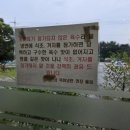 목화냉면 - 창원시 진해구 중원동로 38 | 목화냉면