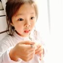 성강목장 네이버블로그