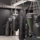 팀와이에프 이미지