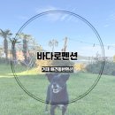 바다로펜션 | 거제 가성비 애견동반펜션 [바다로펜션]내돈내산 후기