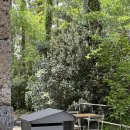 황용 민박 | 제주독채펜션/제주스파펜션 : 목하제주 숙박 후기