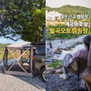 벌곡오토캠핑장 | 계곡 바로 앞 캠핑 가능! 대전 근교 논산 벌곡 오토캠핑장
