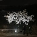 월문천1 이미지