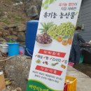 마장지농장