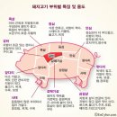 정애돼지갈비 이미지