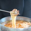 돼지여행