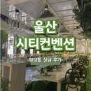 염포로L | 상담 후기 l 울산 웨딩홀 l UCC컨벤션 l 시티컨벤션 정보 l 예그리나 l 그린나래 l 라움포레 l 수피아
