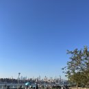 미시 - 부산진구 엄광로12번길 61-3 | [신속] 미국 여행 ✈️ㅣ브루클린 핫플 ‘미시(Misi)’ 솔직 후기와 취향 저격이었던 도미노 파크🌿✨
